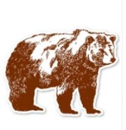 Detailed Bear-MM